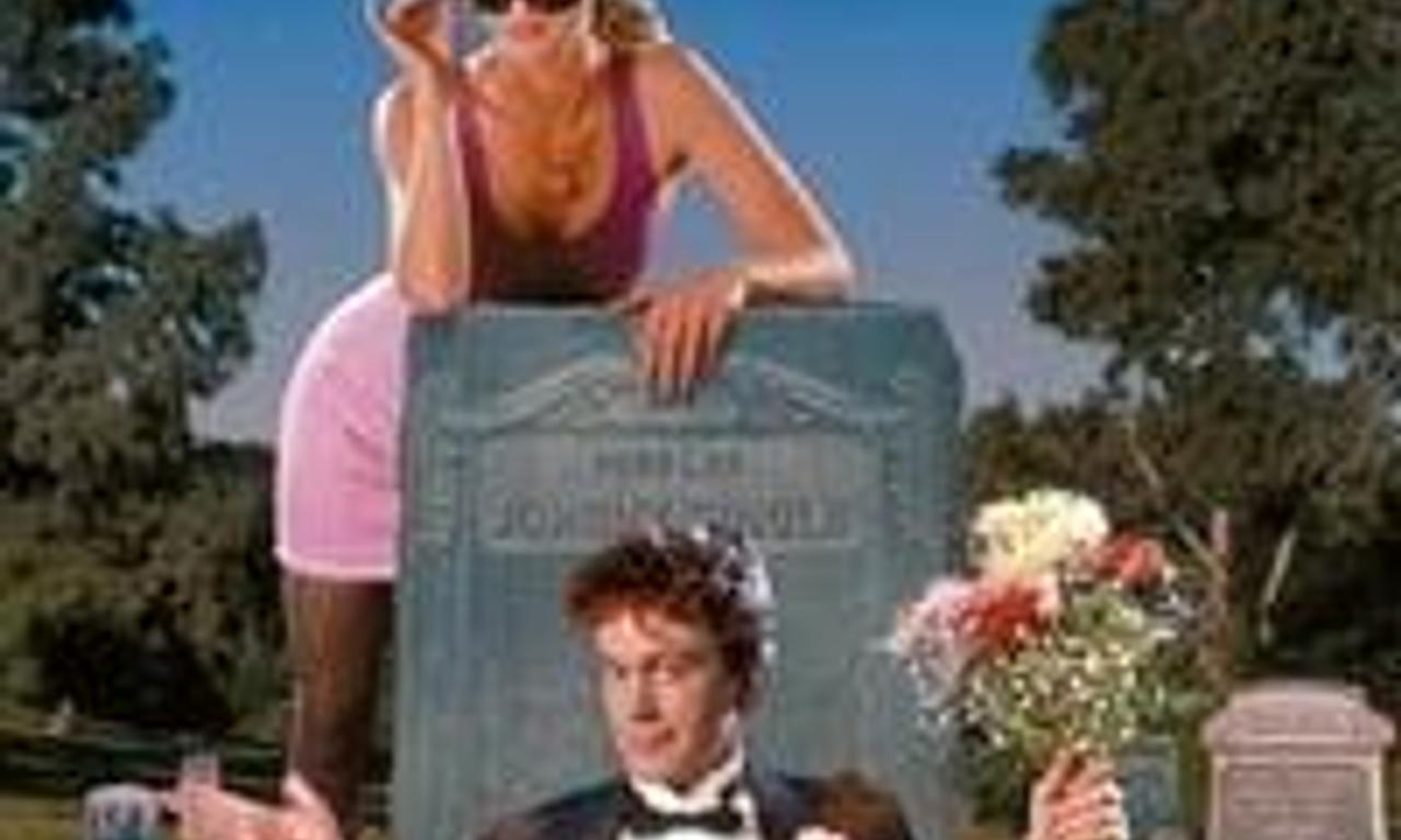 header image for My Boyfriend's Back