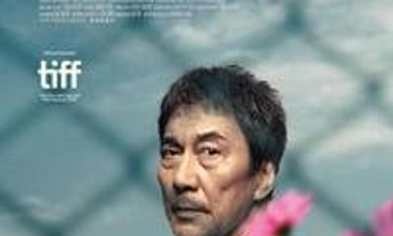 header image for Under the Open Sky