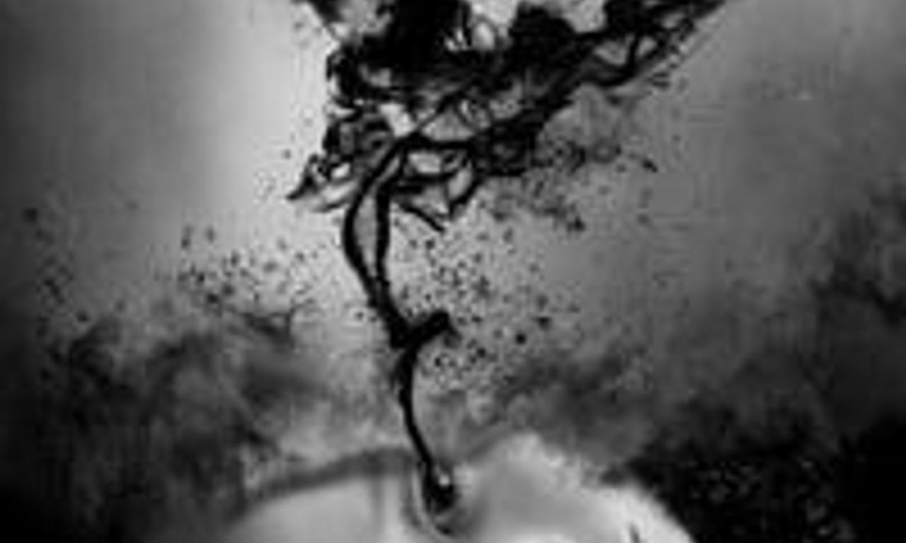 header image for The Curse of Willow Song