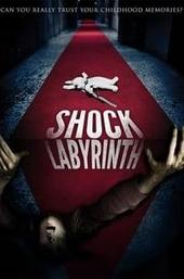 The Shock Labyrinth