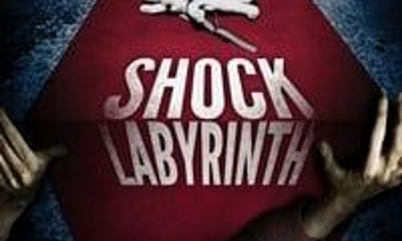 header image for The Shock Labyrinth