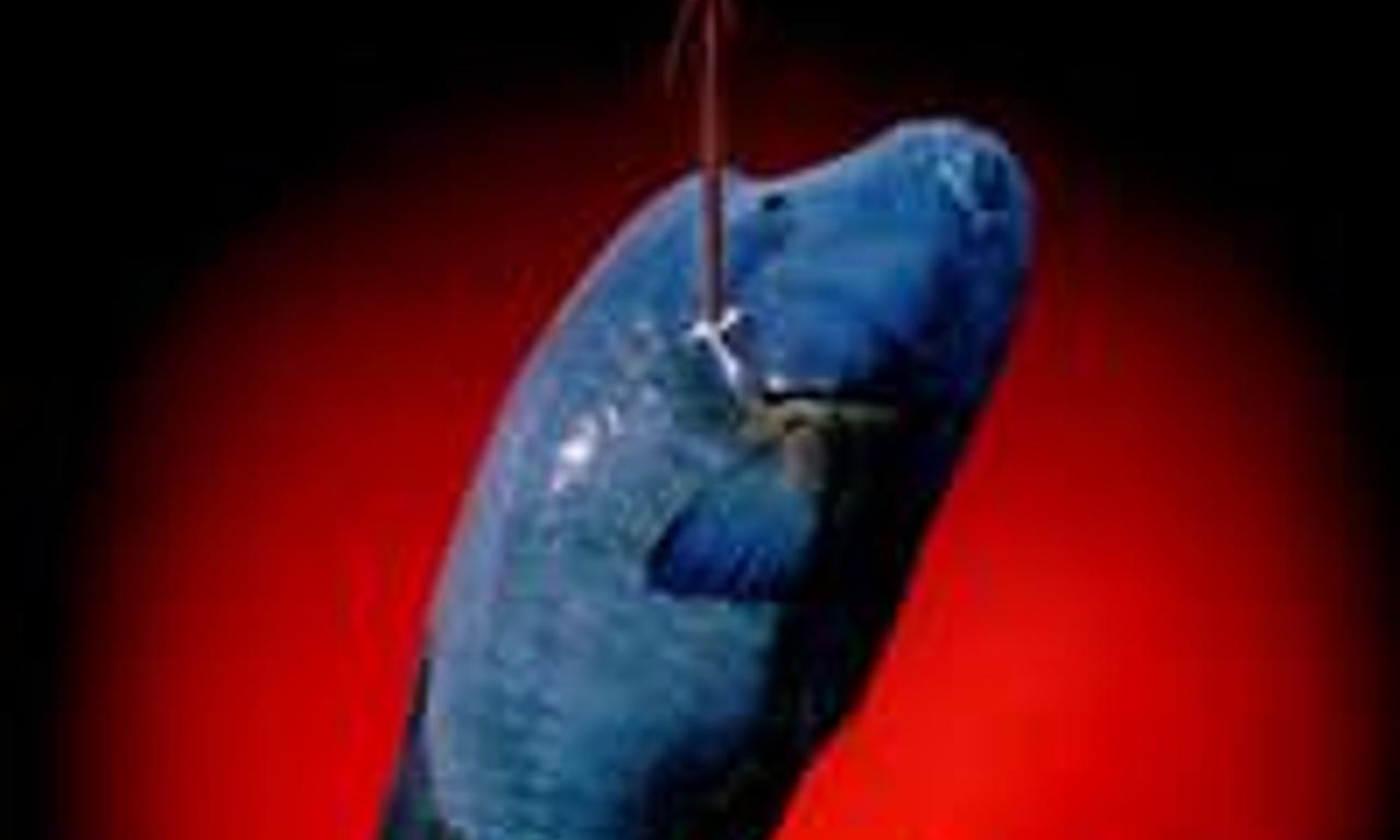 header image for Sonatine