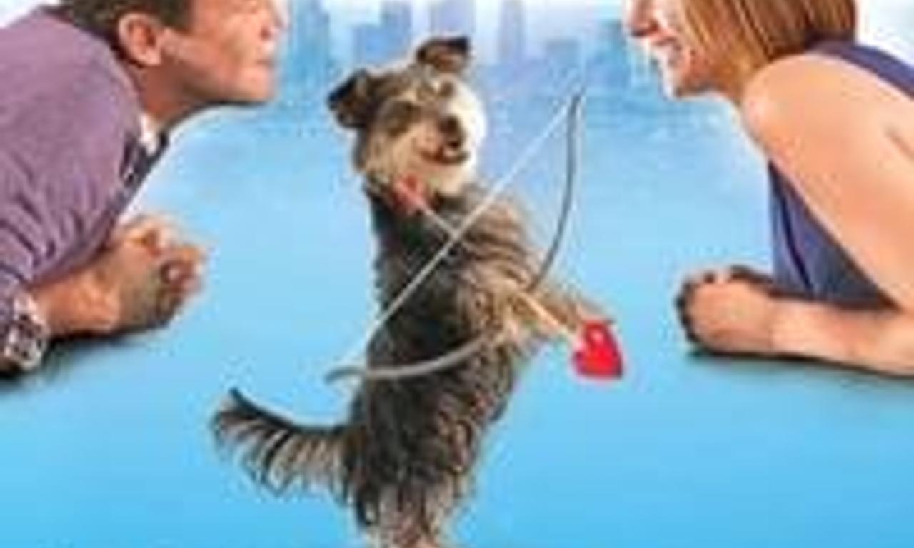 header image for Gabe the Cupid Dog