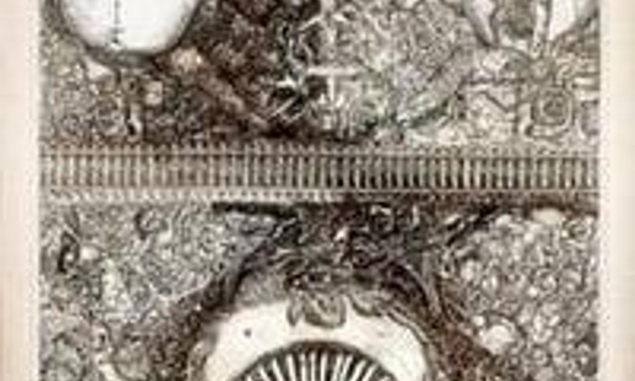 header image for Turbine