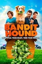 The Bandit Hound