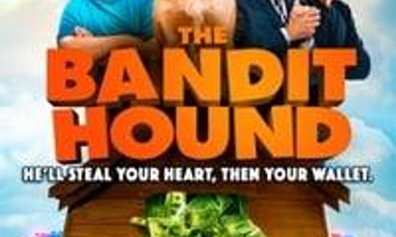 header image for The Bandit Hound