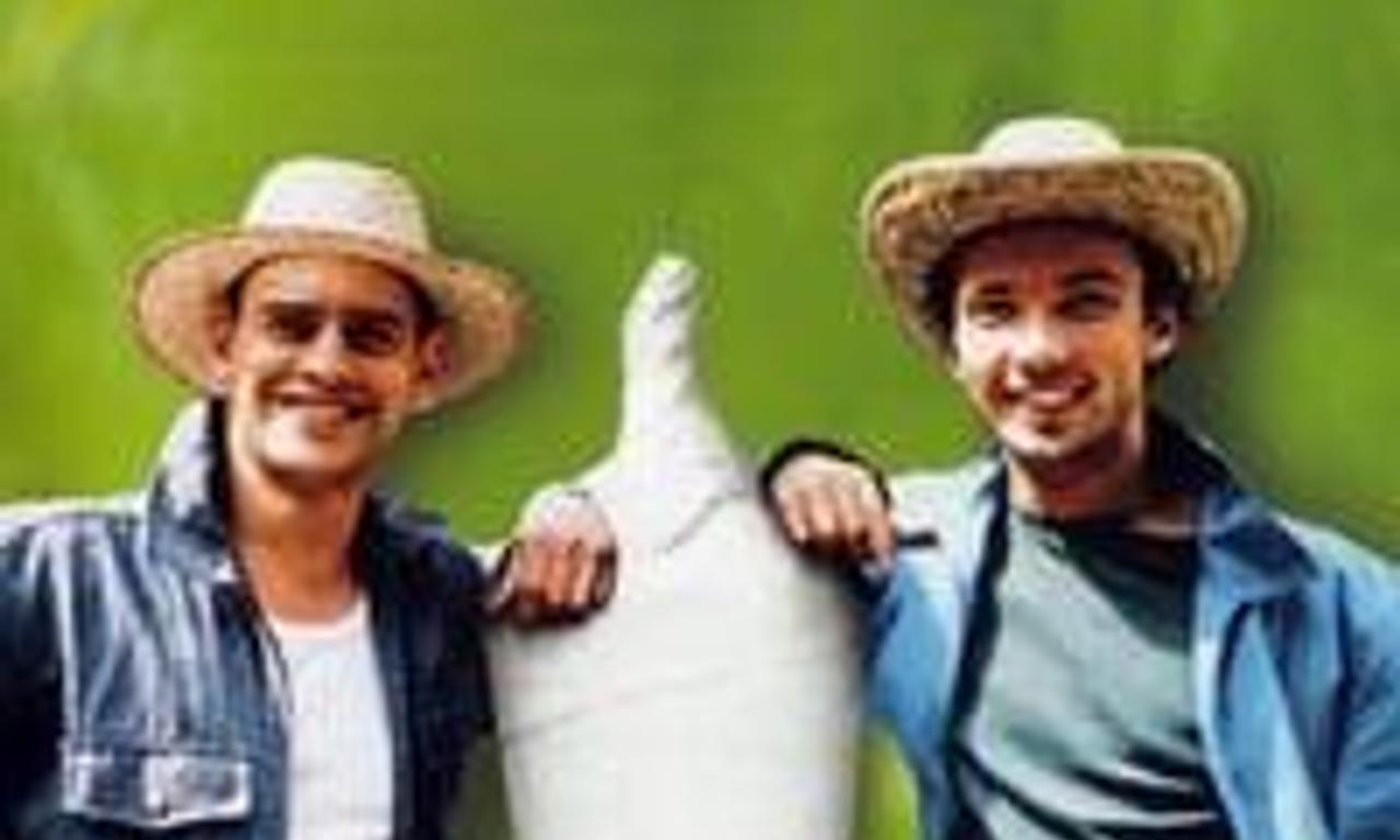 header image for Lammbock