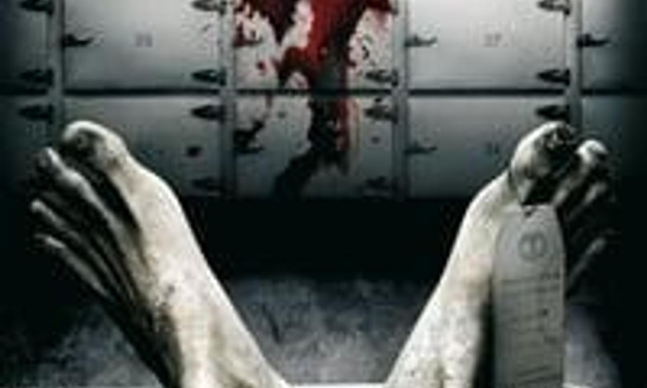 header image for Body