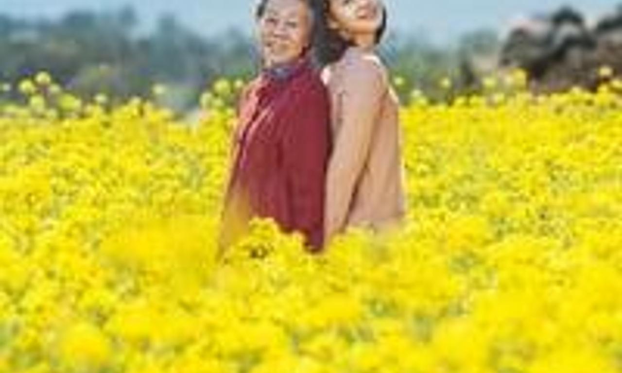 header image for Canola