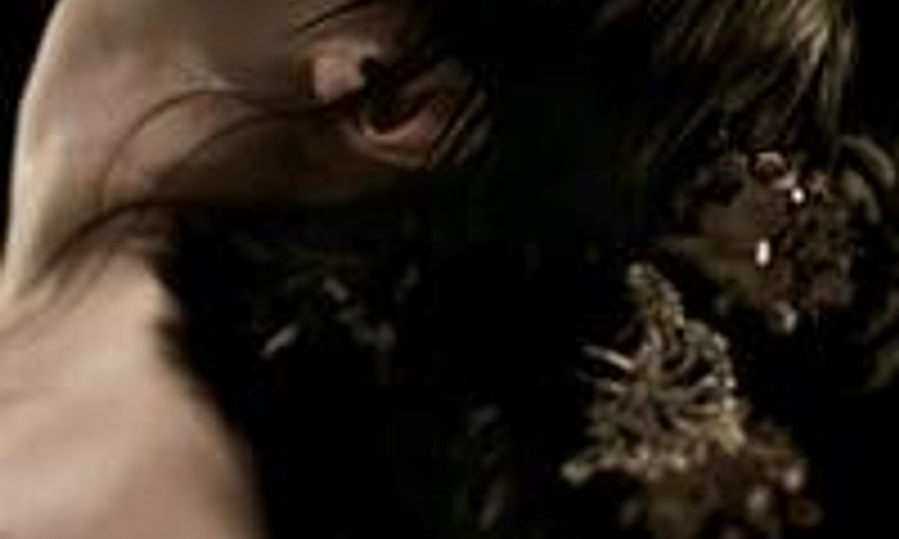 header image for The Concubine