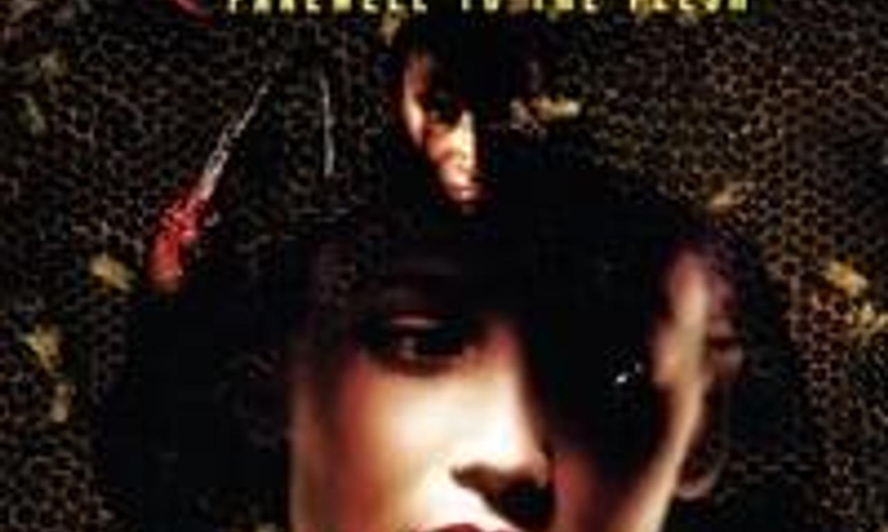 header image for Candyman: Farewell to the Flesh