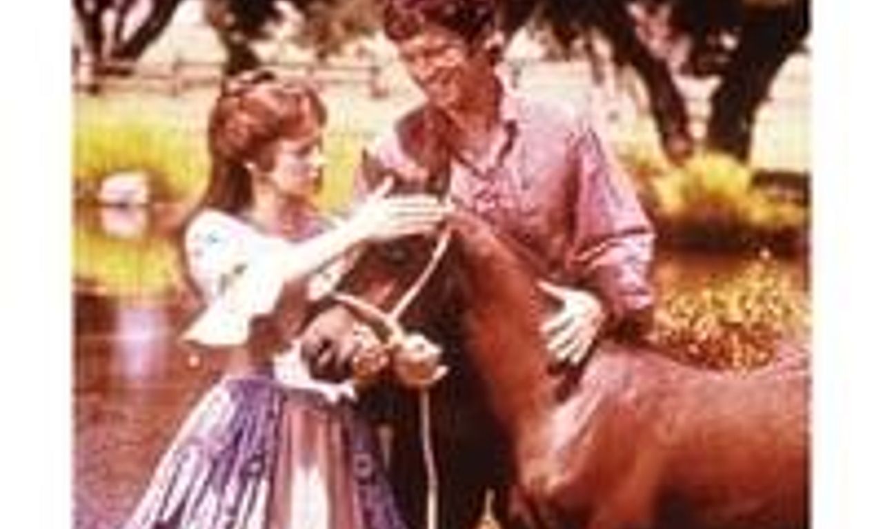 header image for Justin Morgan Had A Horse