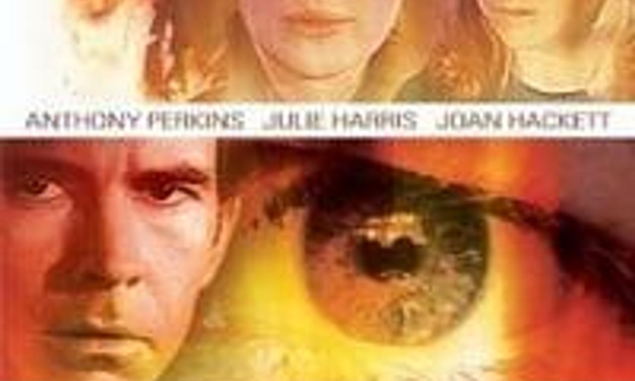 header image for How Awful About Allan