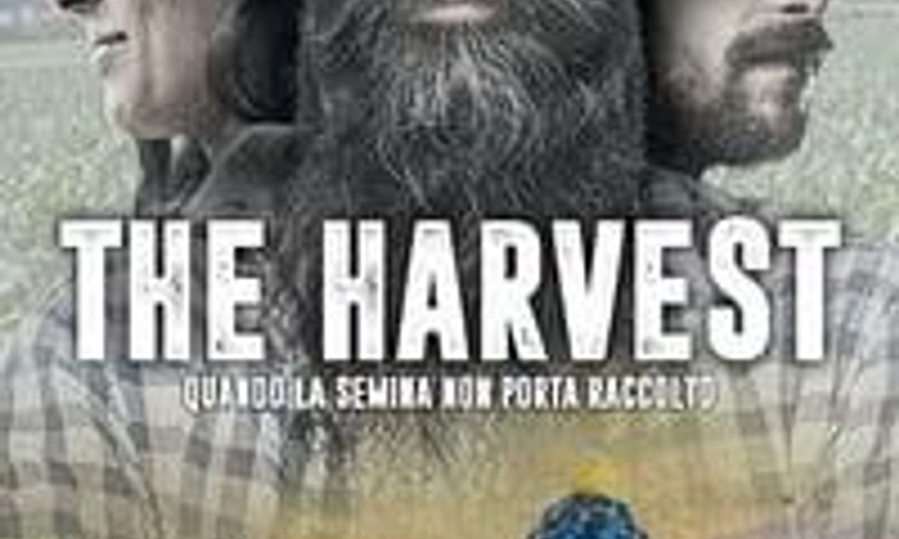 header image for The Harvest