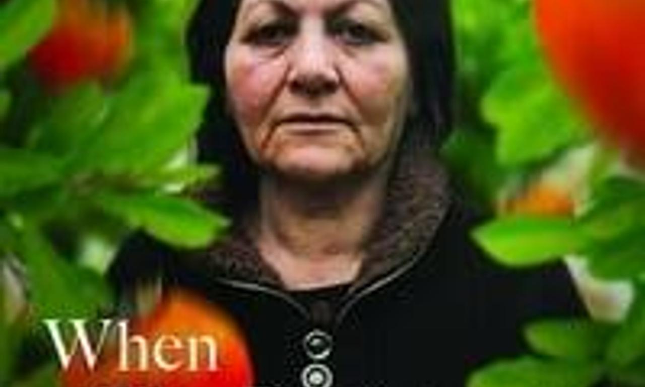 header image for When the Persimmons Grew