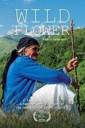 Wild Flower