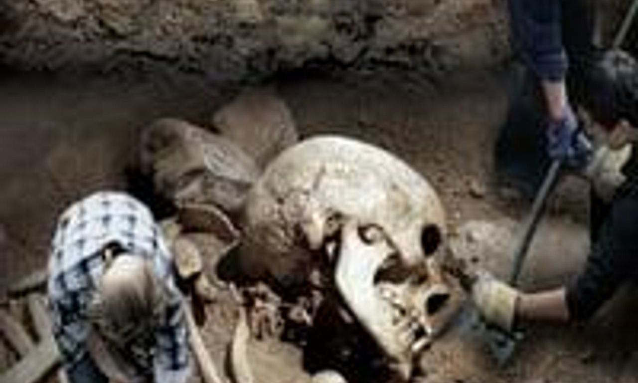 header image for A Race of Giants