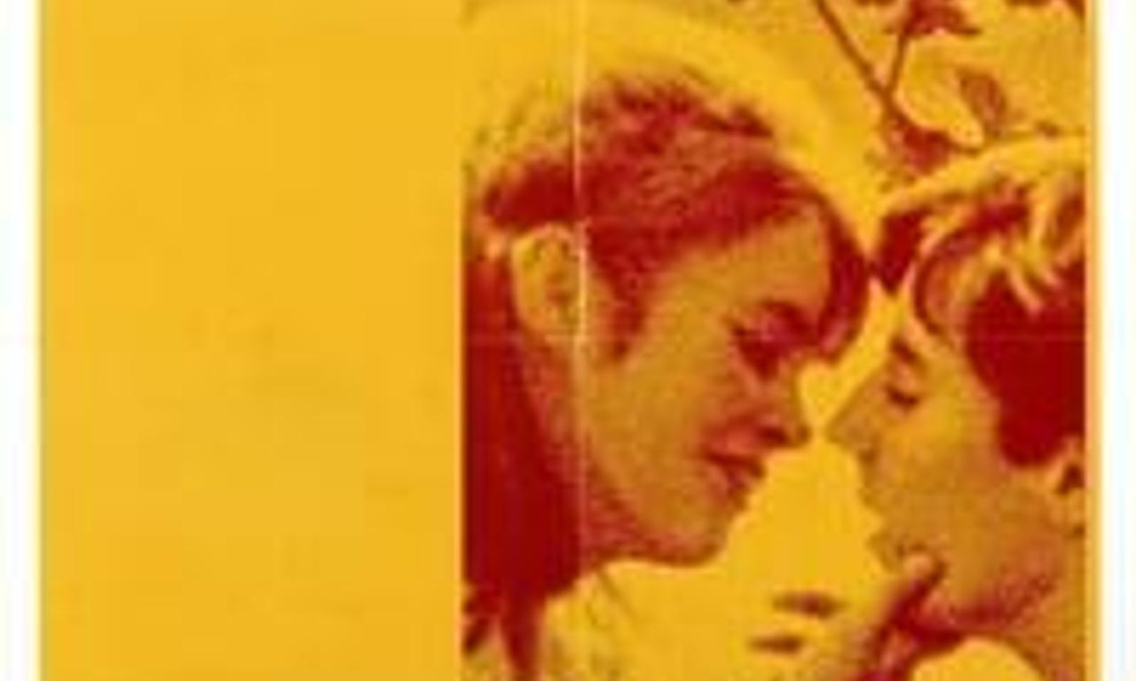 header image for Adalen 31