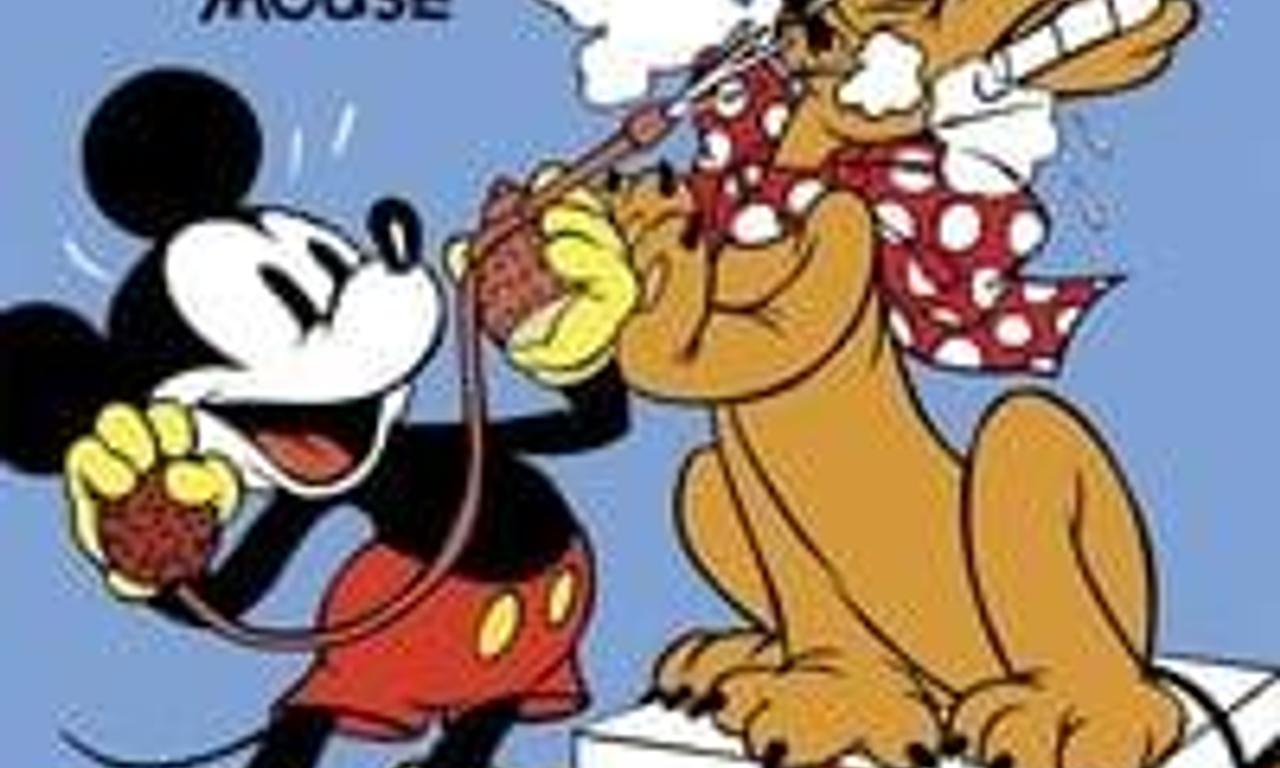 header image for Society Dog Show