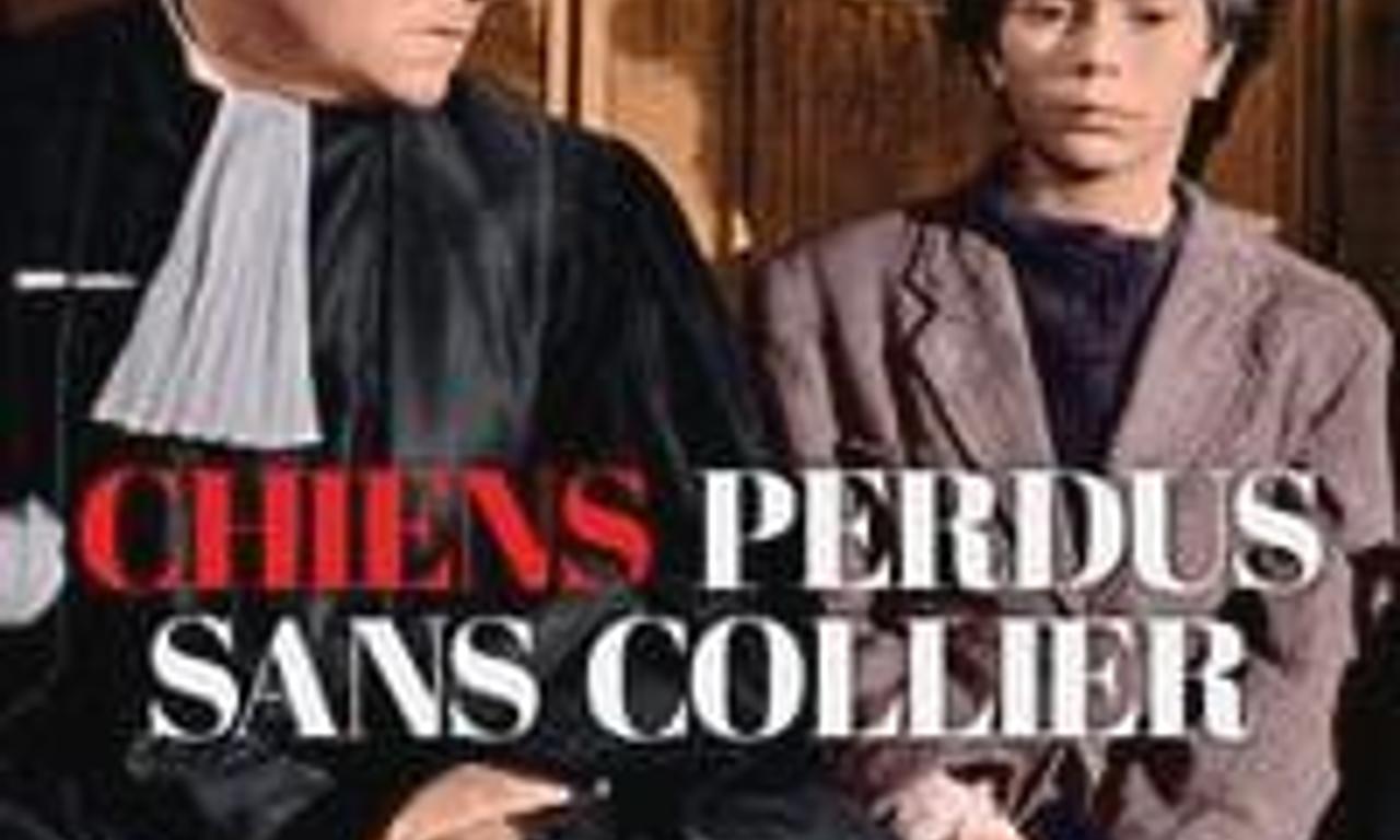 header image for The Little Rebels