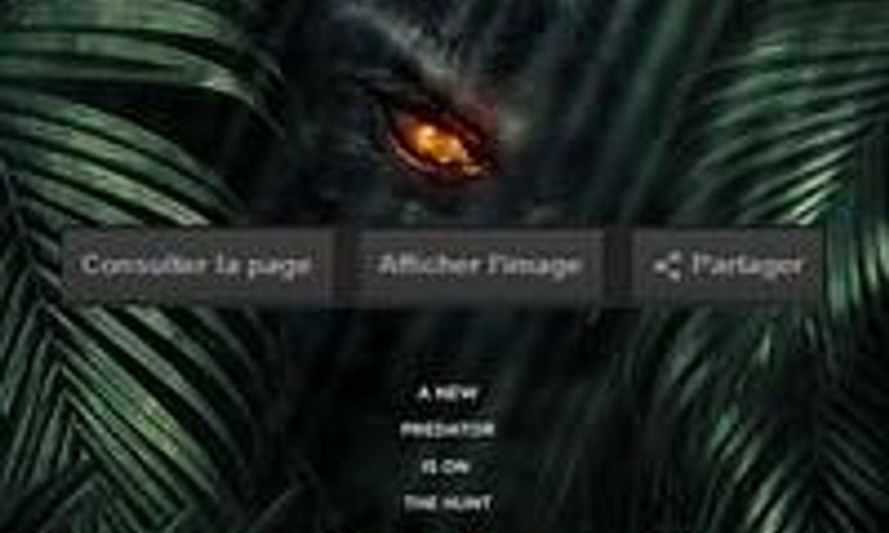 header image for The Jungle