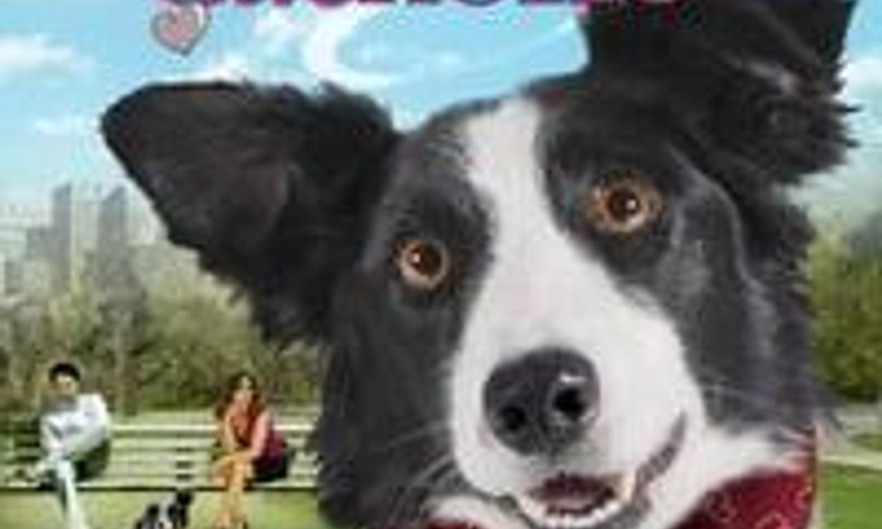 header image for Angel Dog