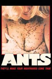 Ants