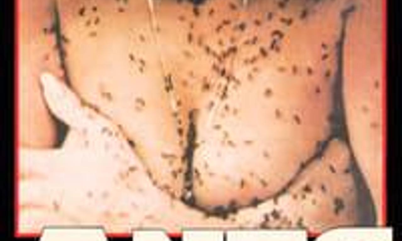 header image for Ants