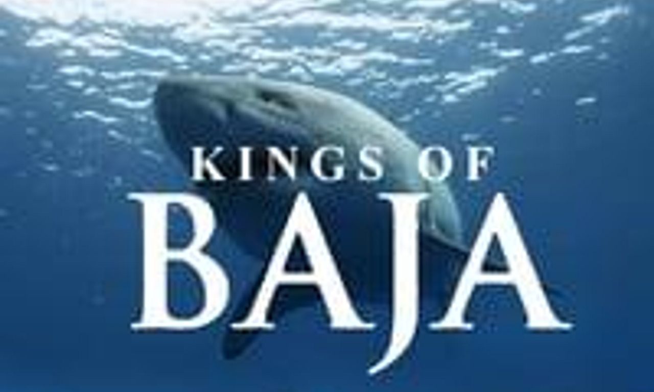 header image for Kings of Baja