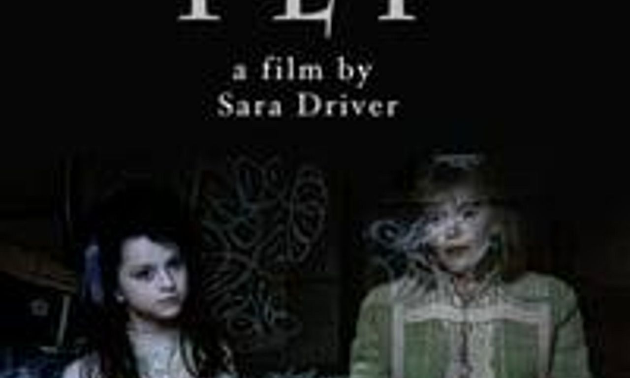 header image for When Pigs Fly