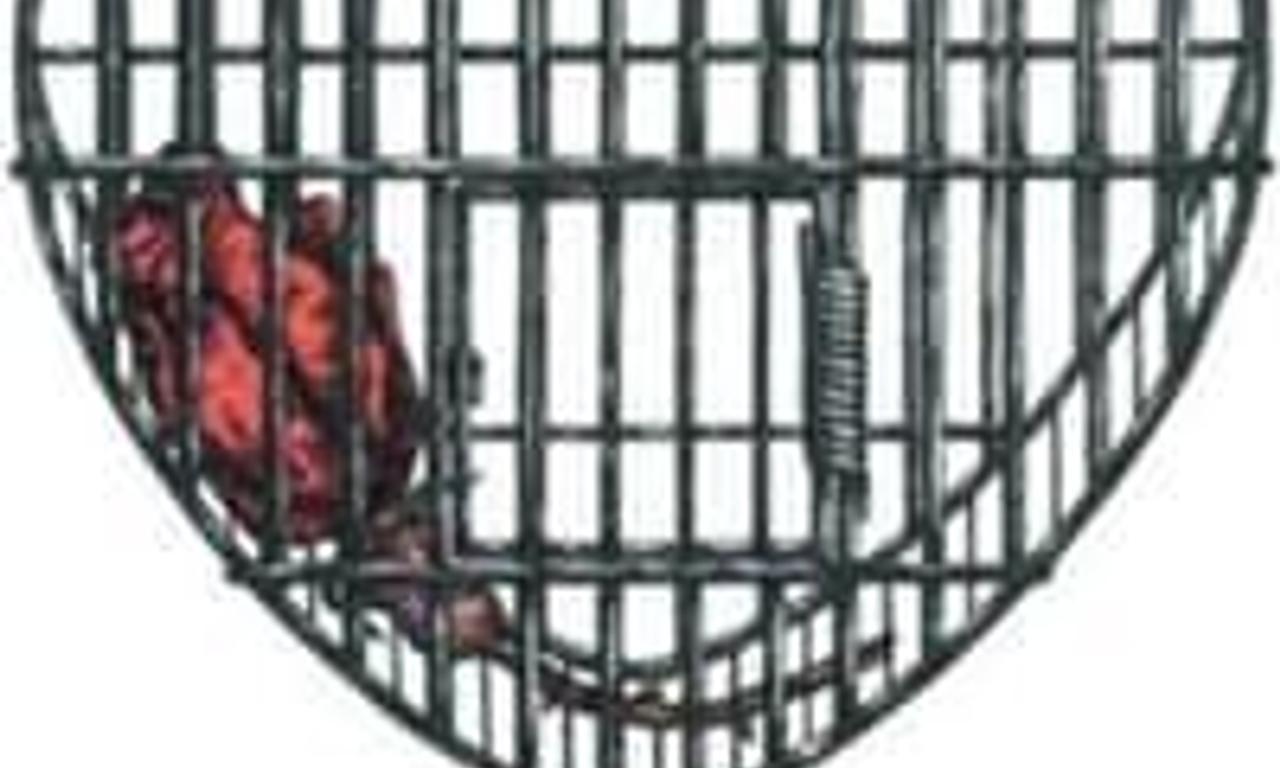 header image for Ruins