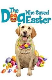 The Dog Who Saved Easter