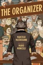 The Organizer