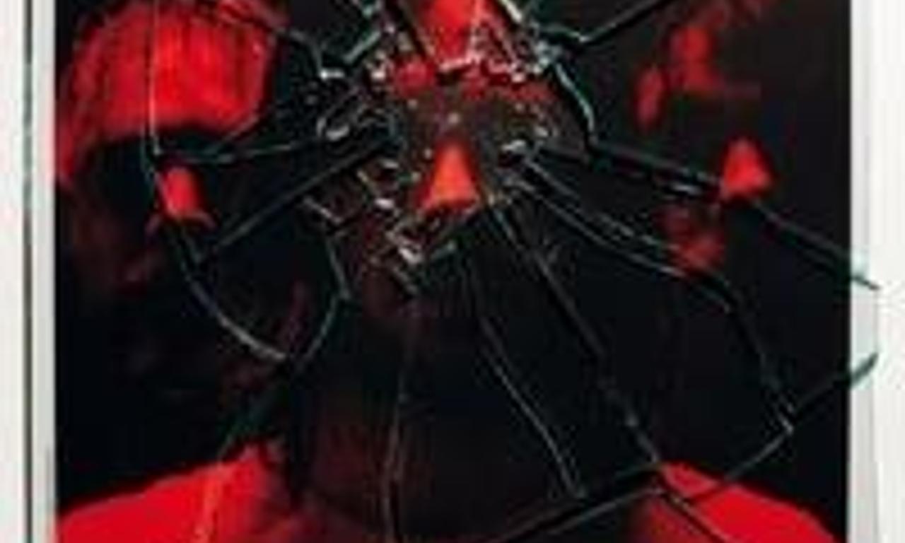 header image for The Incident