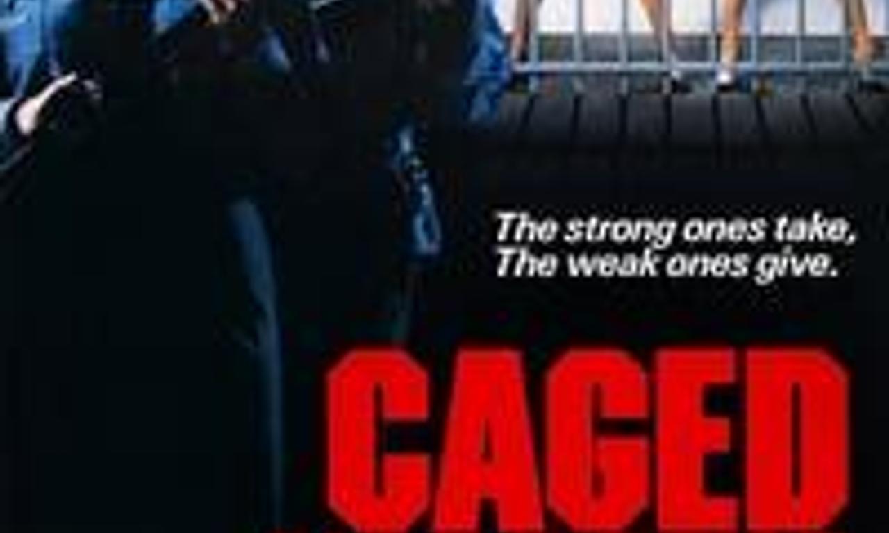 header image for Violence in a Women's Prison