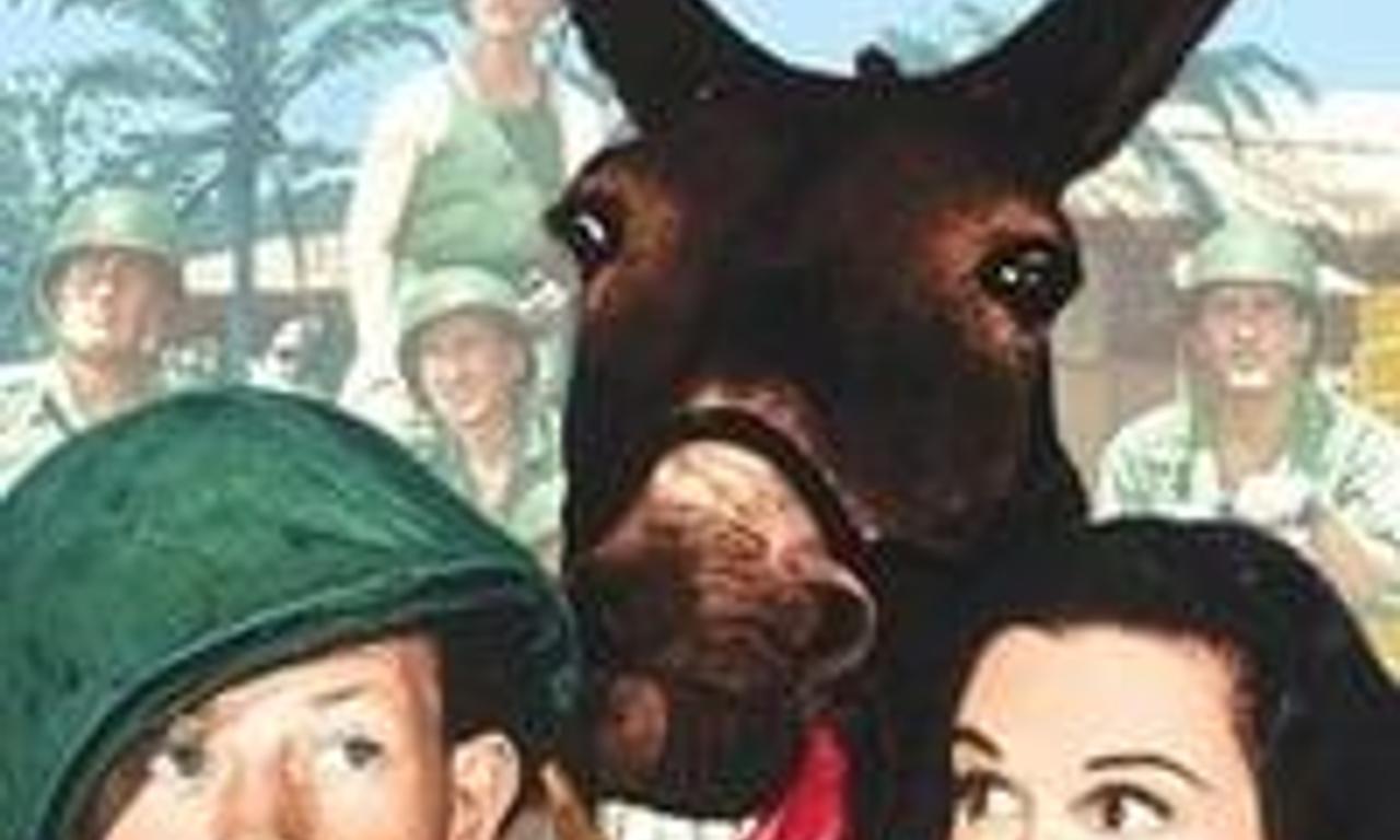 header image for Francis