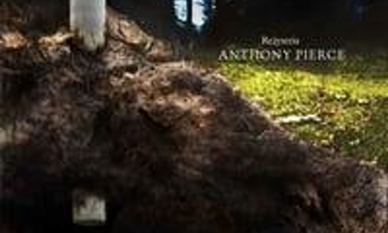 header image for Terrible Angels