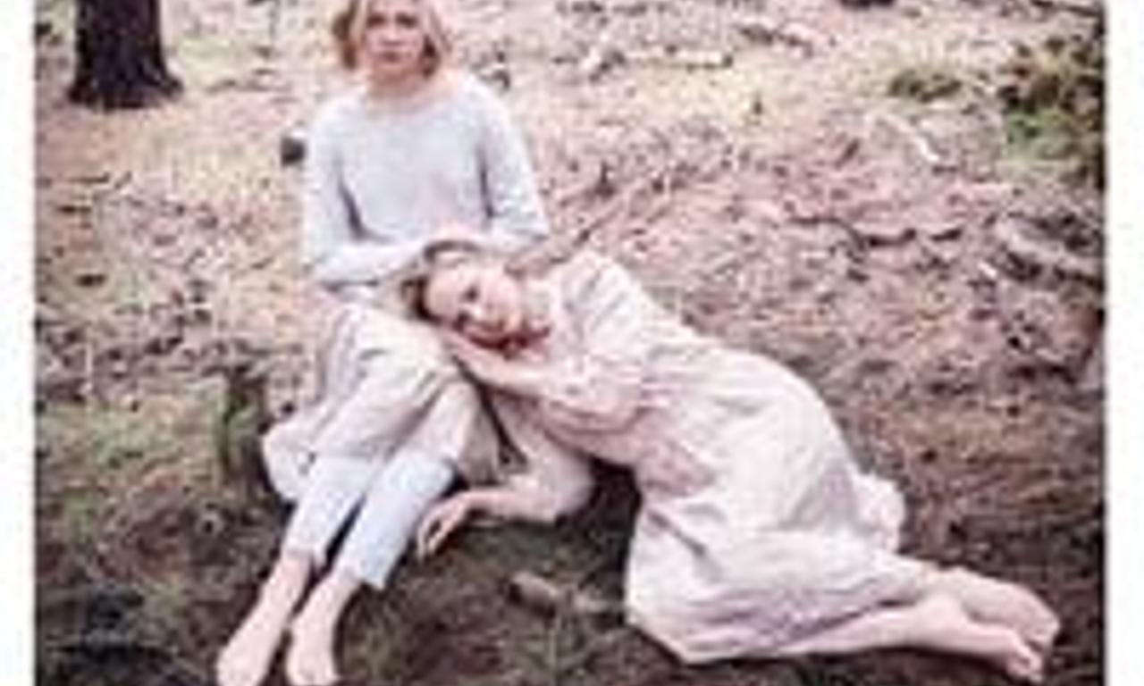 header image for Rabbit