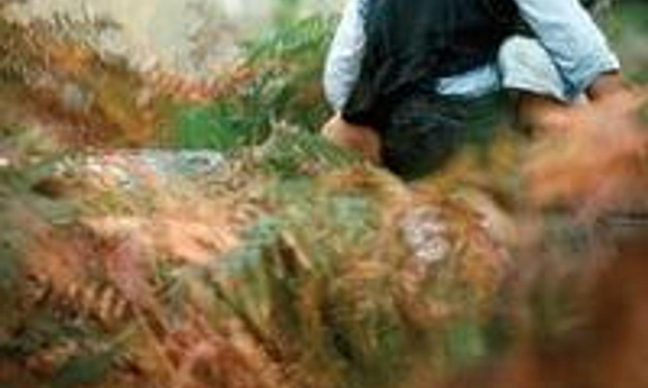 header image for The Scent of Mandarin