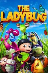 The Ladybug