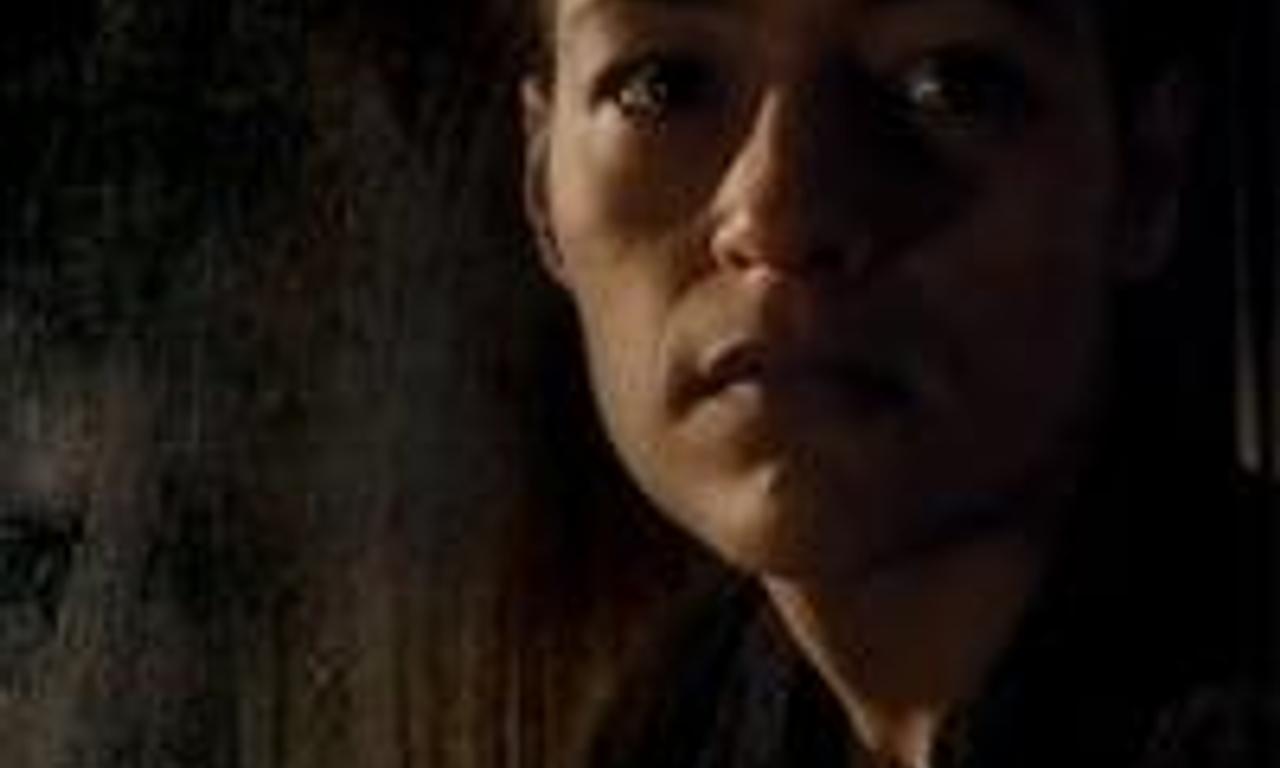 header image for Envy