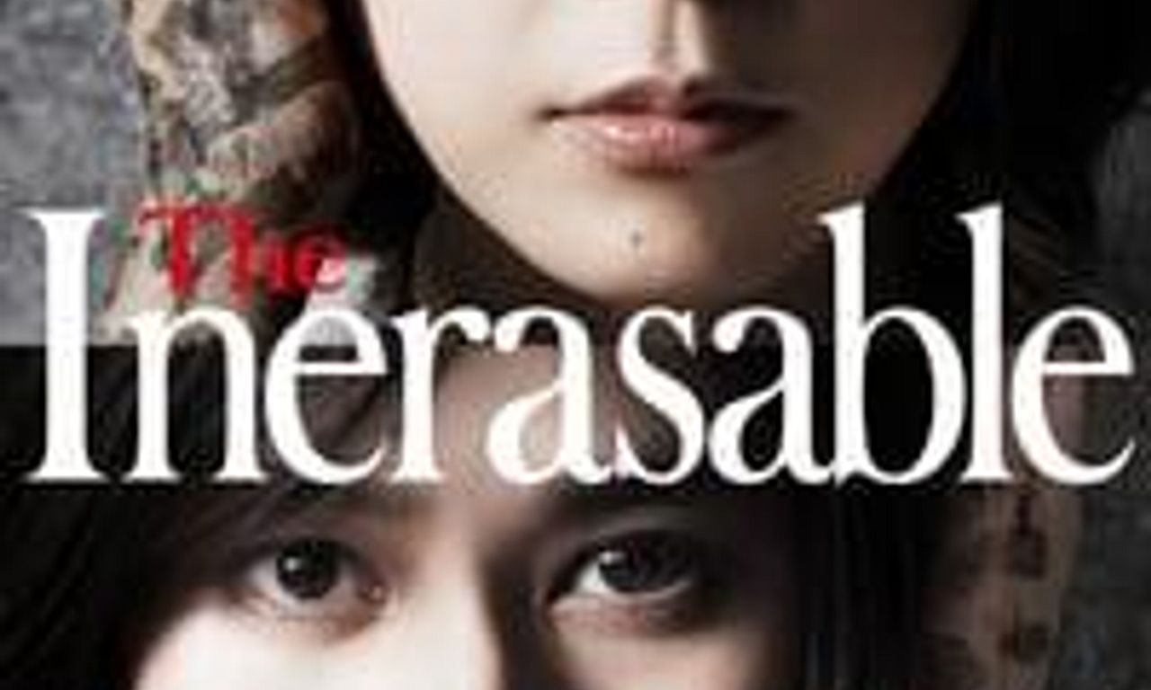 header image for The Inerasable