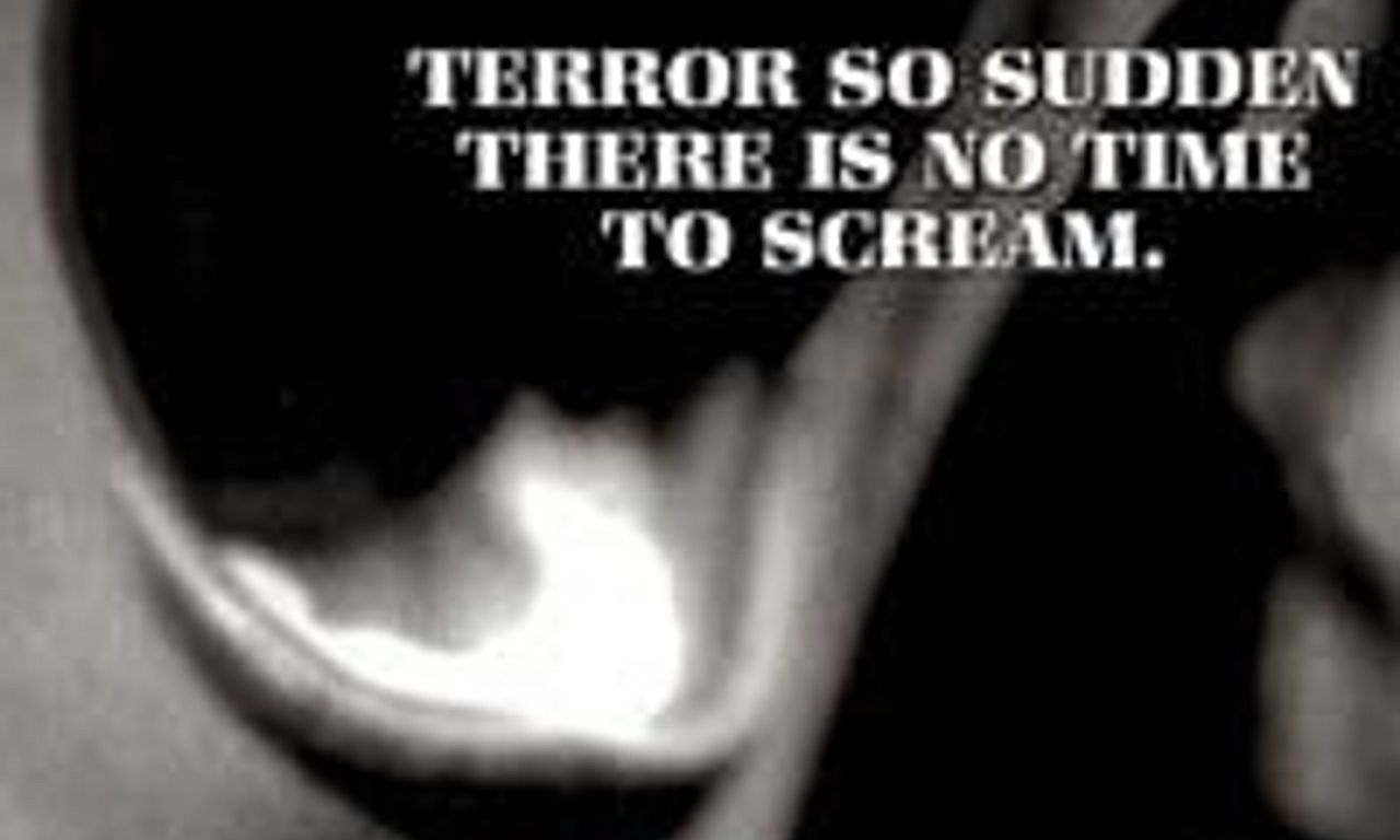 header image for Silent Scream