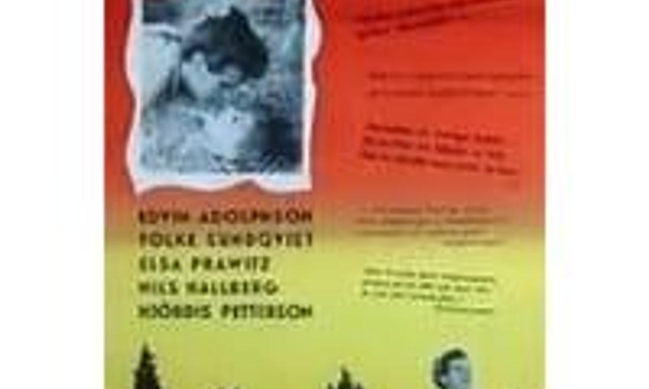 header image for Förtrollad vandring