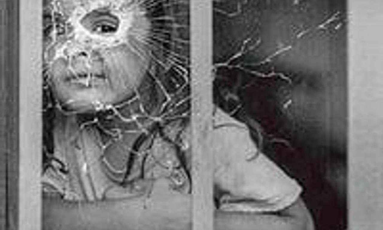 header image for El testigo: Caín y Abel