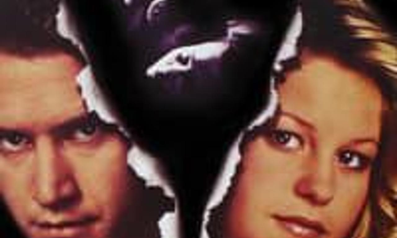 header image for She Cried No