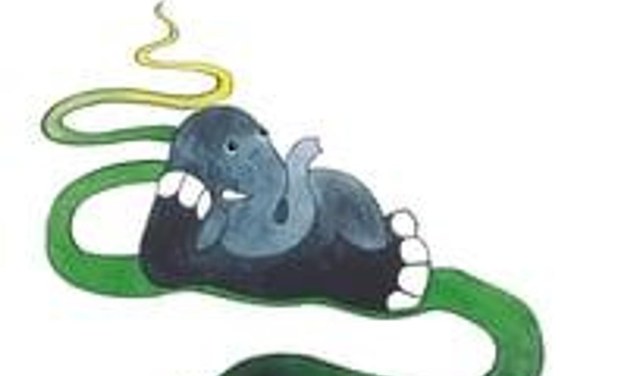 header image for Thalasso