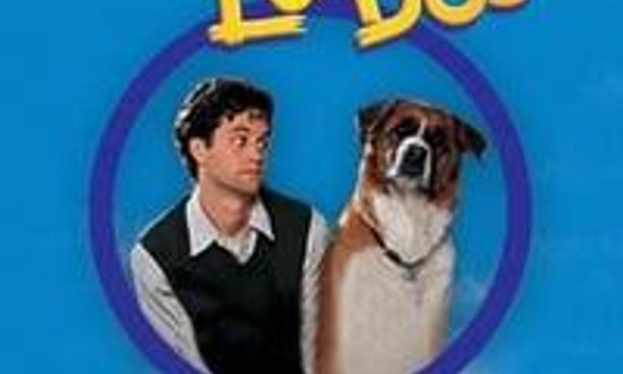 header image for You Lucky Dog