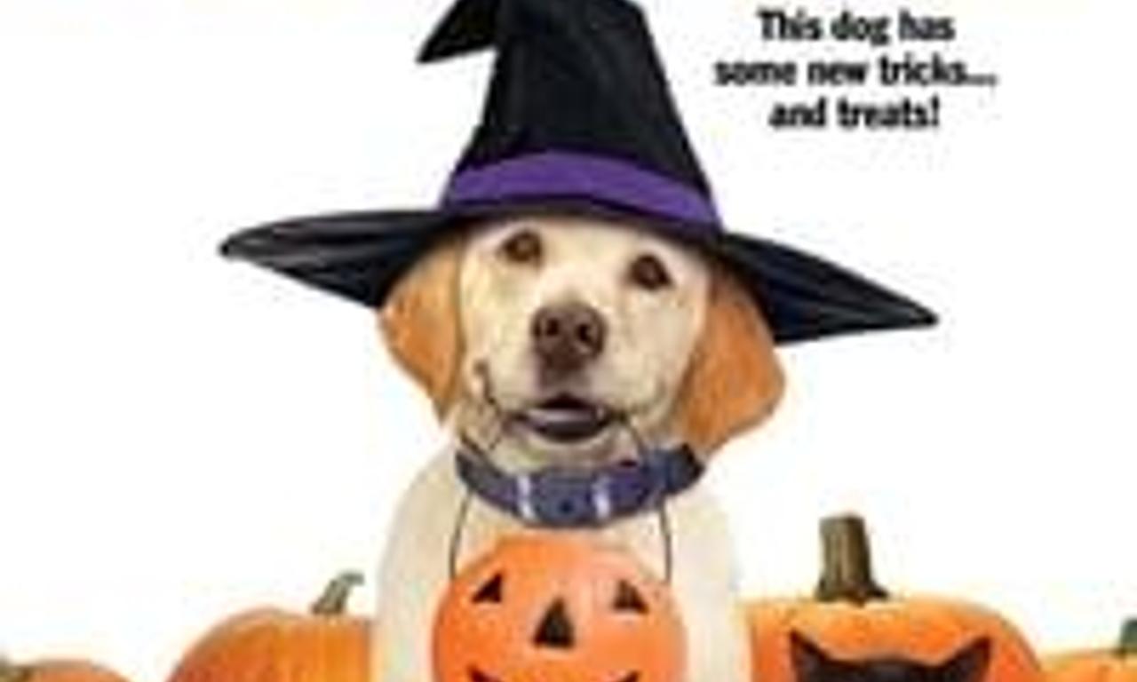 The Dog Who Saved Halloween - Where to Watch and Stream Online