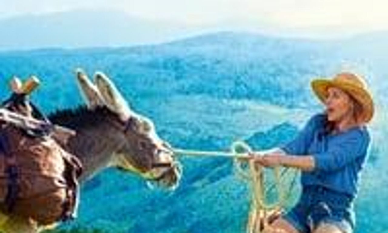 header image for My Donkey, My Lover & I